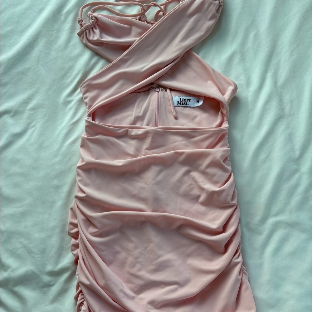 Tiger Mist Pink Ruched Dress